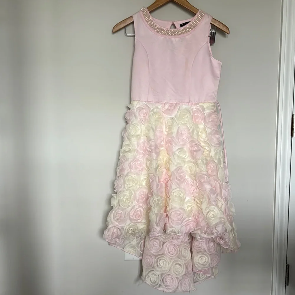 Xtraordinary Pink Floral Party Dress Sz 14 EUC